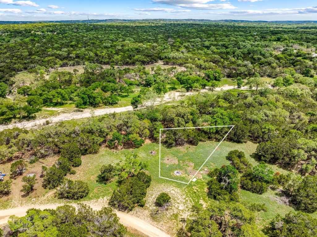 32 Moonlight Lane Wimberley, TX 78676 - Photo 13 of 13 a view of a yard with plants and large trees