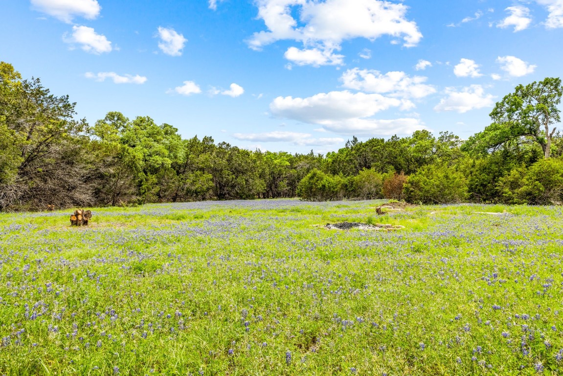 32 Moonlight Lane Wimberley, TX 78676 - Photo 2 of 13 a view of yard with swimming pool and green space