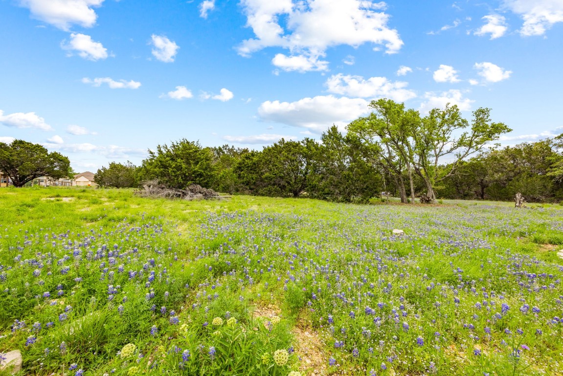 32 Moonlight Lane Wimberley, TX 78676 - Photo 3 of 13 a view of a green field with tree in back