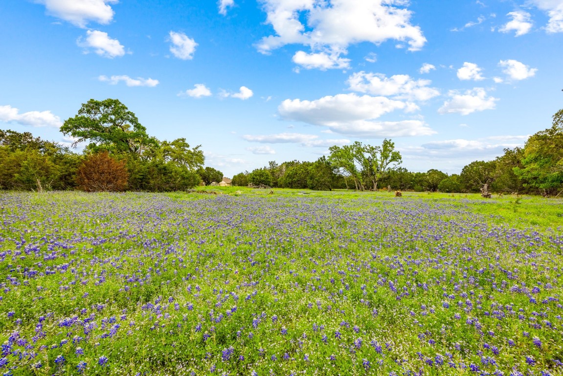 32 Moonlight Lane Wimberley, TX 78676 - Photo 5 of 13 a view of a lake view with a garden