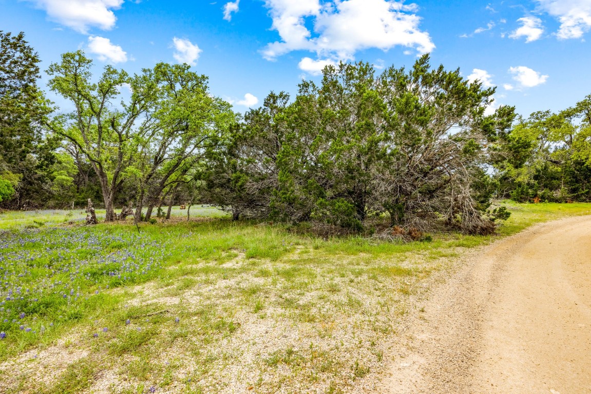 32 Moonlight Lane Wimberley, TX 78676 - Photo 6 of 13 a view of outdoor space with deck and yard