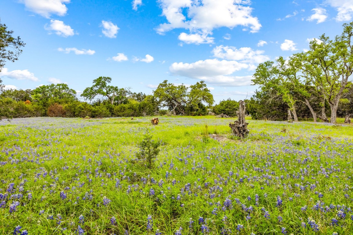 32 Moonlight Lane Wimberley, TX 78676 - Photo 7 of 13 a view of a tree with a yard