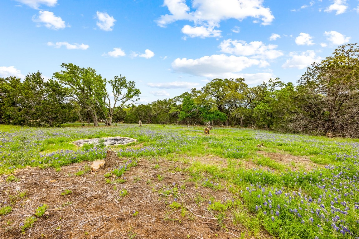 32 Moonlight Lane Wimberley, TX 78676 - Photo 8 of 13 a view of a green field with wooden fence