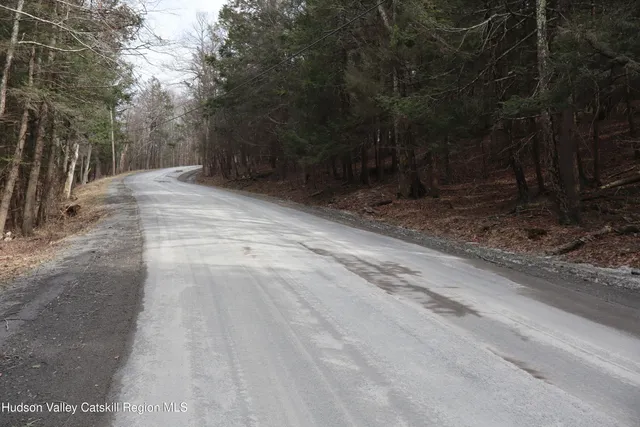 a view of backyard with green space