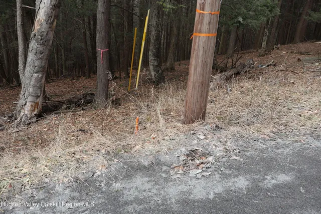 a view of a backyard with plants