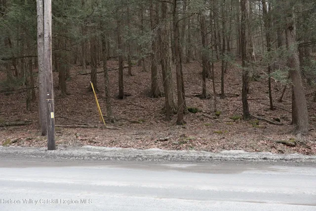 a bathroom with a shower and a sink
