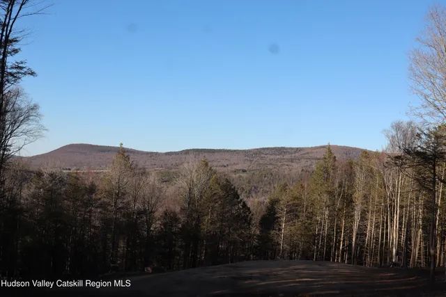 a view of a large tree with a mountain in the background