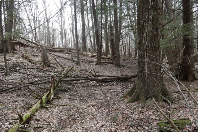 a view of backyard with green space