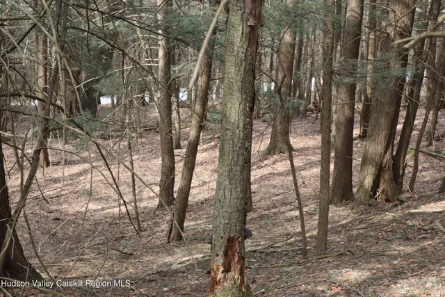 a view of outdoor space