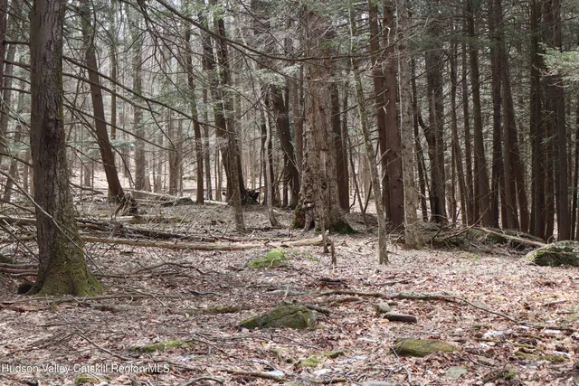 a backyard of a house with trees and outdoor space