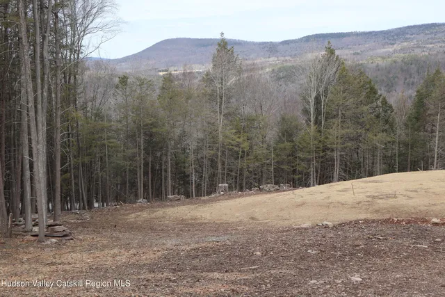 a view of a backyard of a house