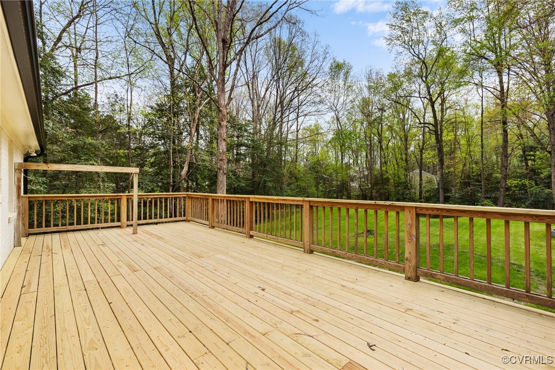 12007 Chesmount Drive Chesterfield, VA 23832 - Photo 20 of 25