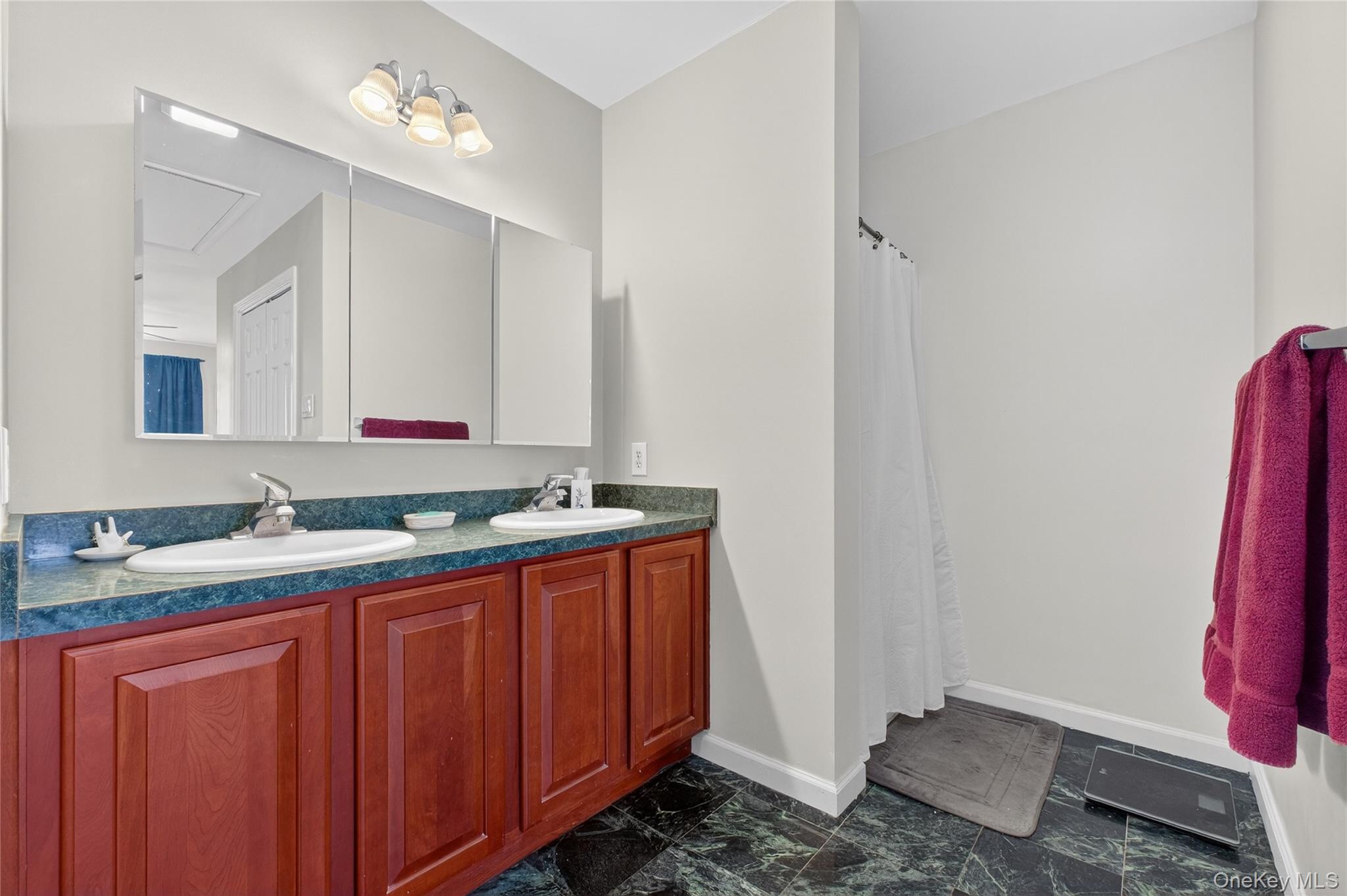387 Cornwall Hill Road Patterson, NY 12563 - Photo 20 of 50 Primary Bathroom w/dual sinks, tile flooring & shower to the right, toilet and linen storage to the left.. perfect set up