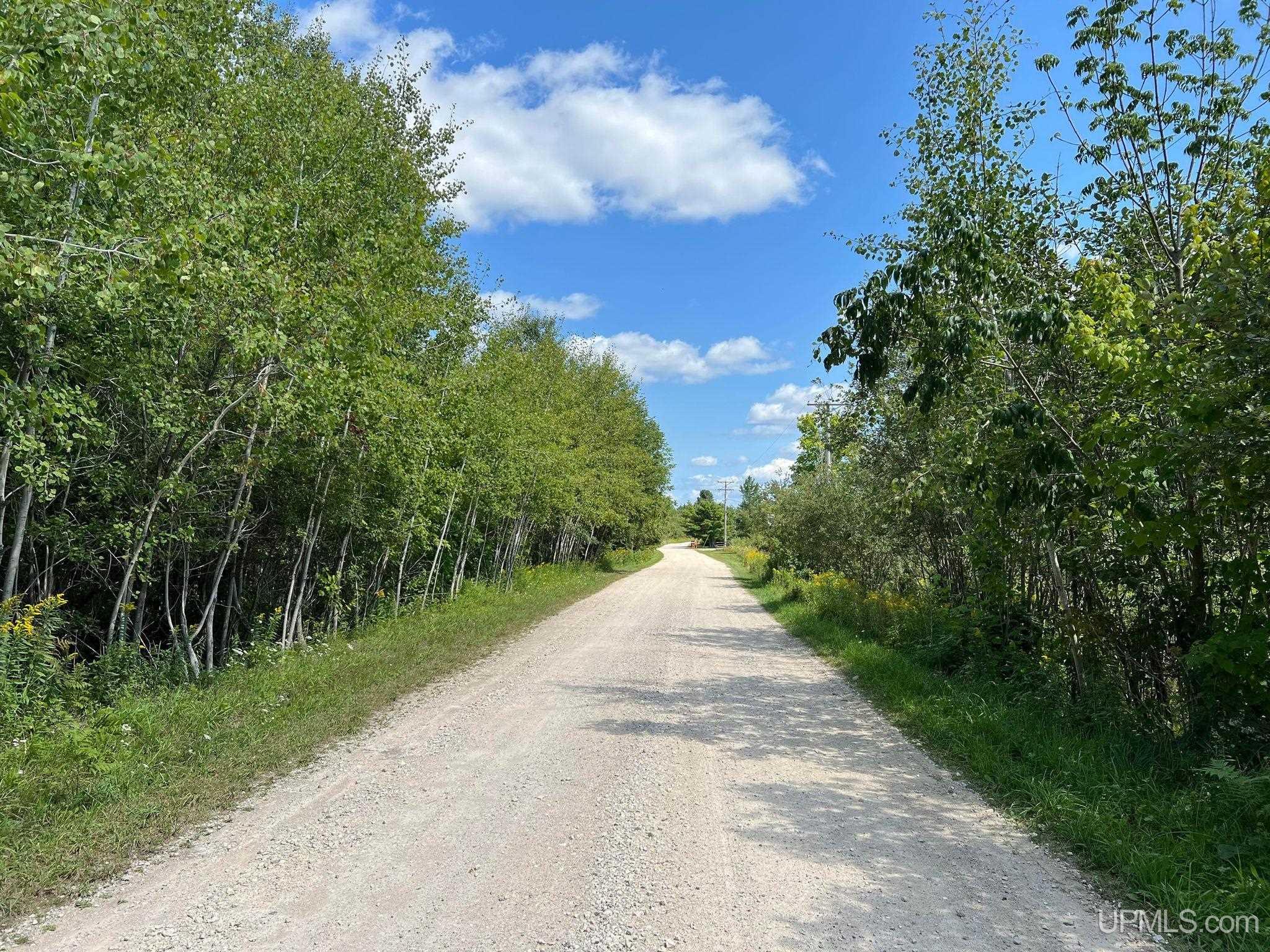 Tbd West Gulliver Lake Road Gulliver, MI 49840 - Photo 10 of 11