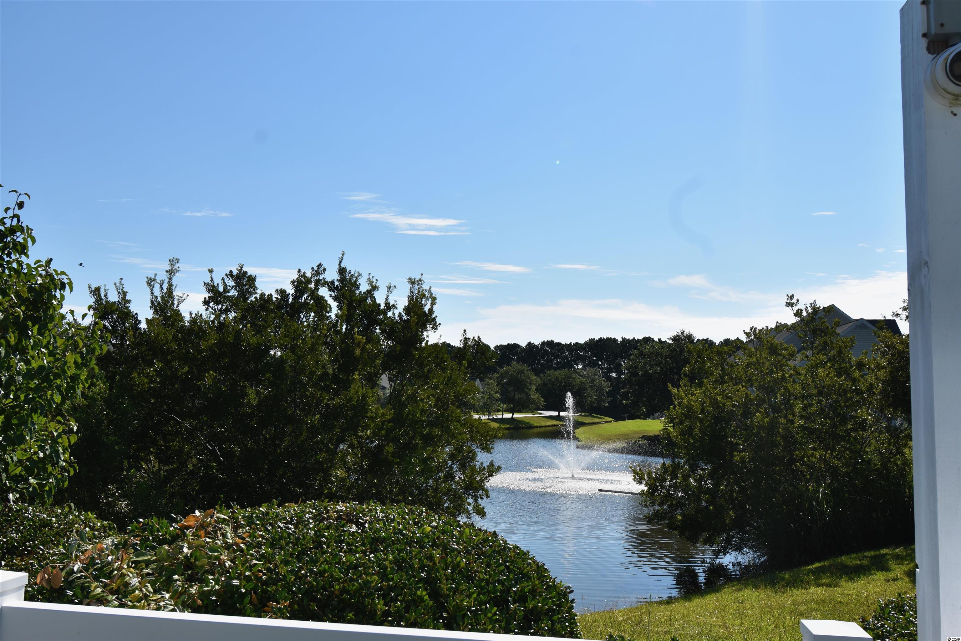 112 Wimbledon Way, Unit 112 Murrells Inlet, SC 29576 - Photo 31 of 38 Gallery Image 31