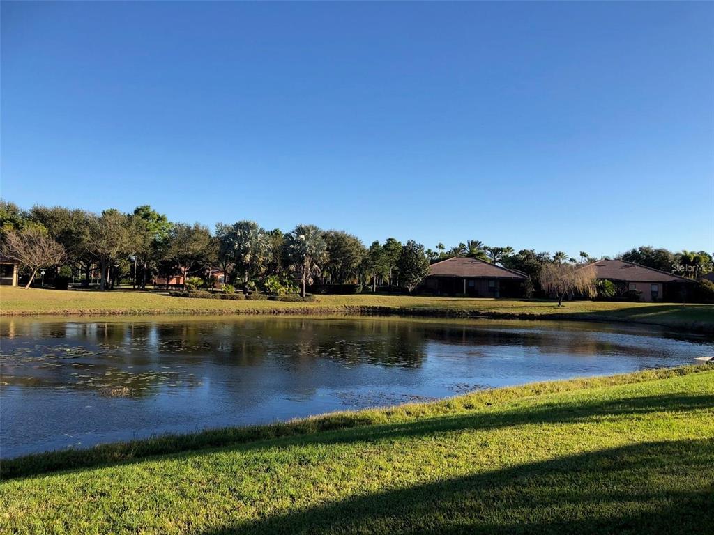 140 Shell Falls Drive Apollo Beach, FL 33572 - Photo 24 of 48