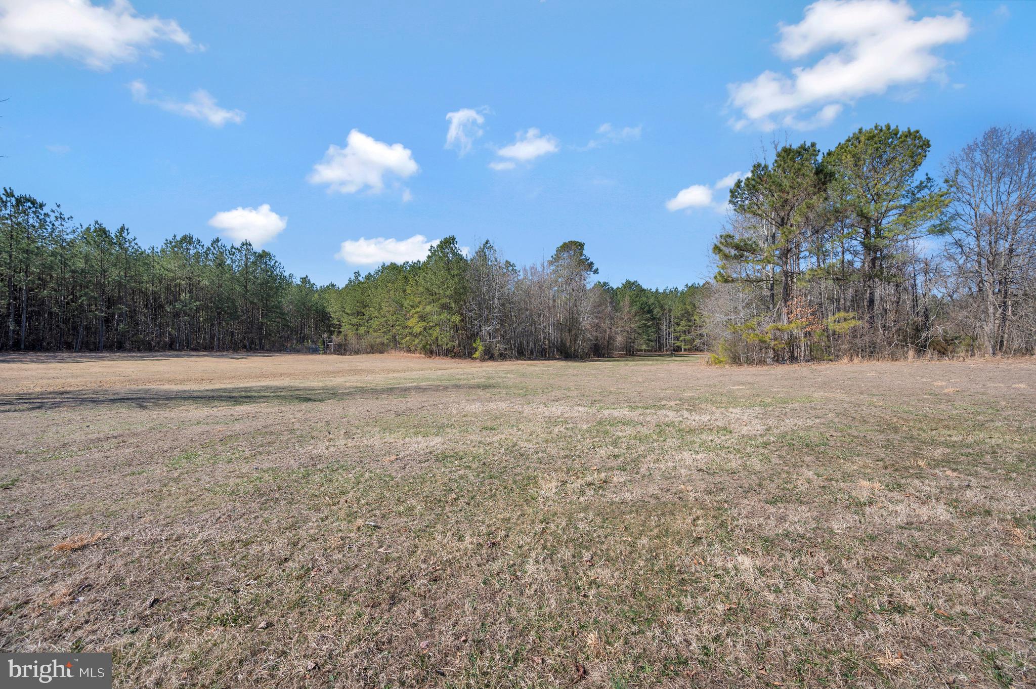 15389 Big Timber Road King George, VA 22485 - Photo 54 of 72 Gallery Image 54