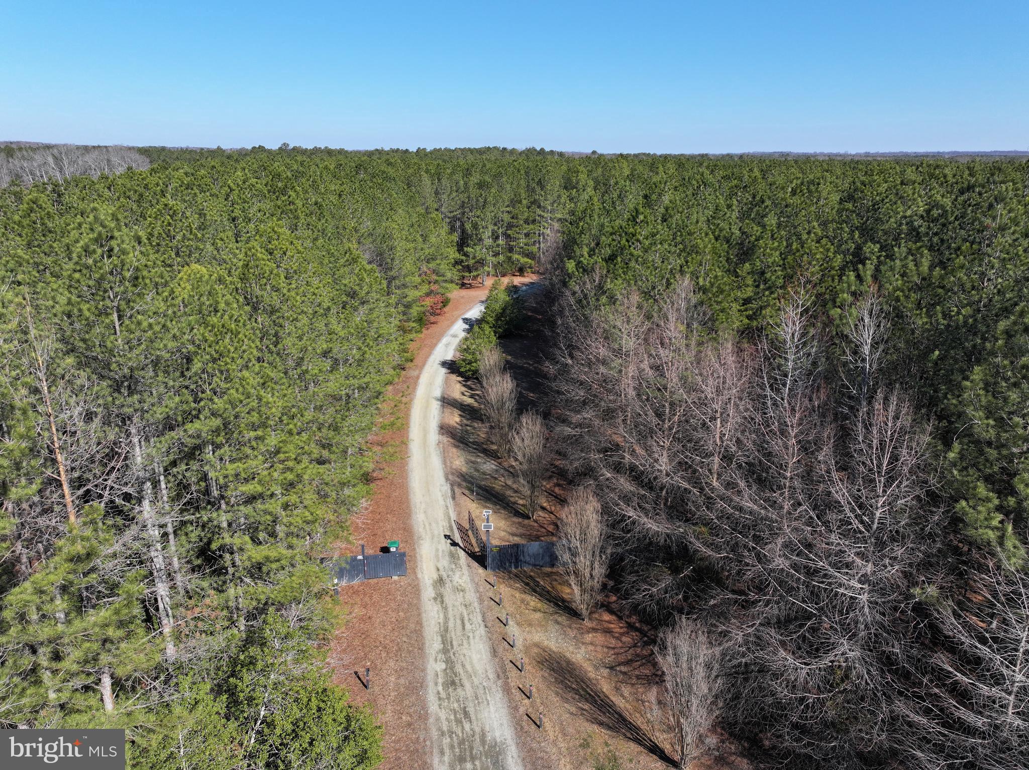 15389 Big Timber Road King George, VA 22485 - Photo 6 of 72 Gallery Image 6