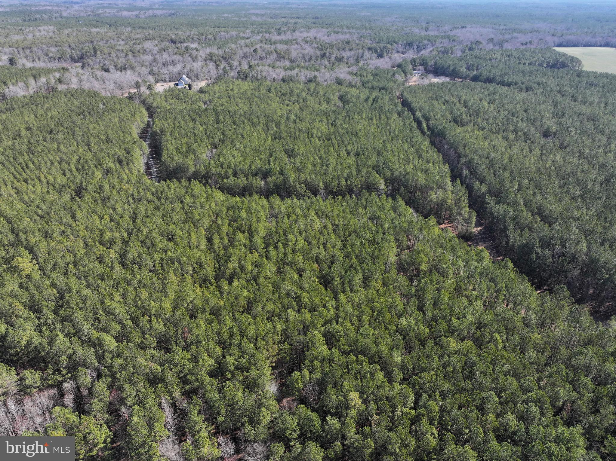 15389 Big Timber Road King George, VA 22485 - Photo 68 of 72 Gallery Image 68