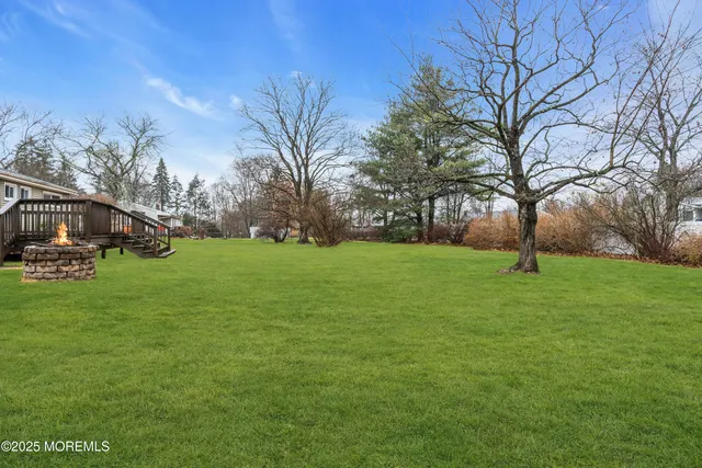 a view of a park with large trees