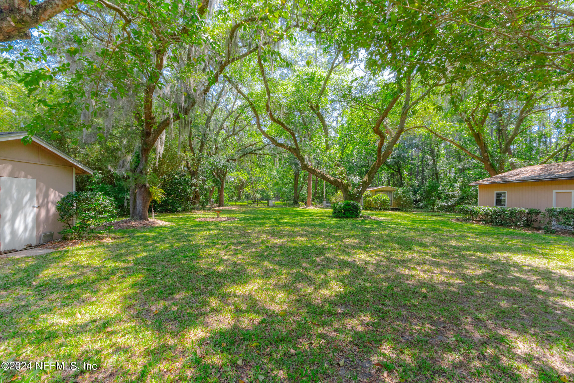 3153 Tiger Hole Road Jacksonville, FL 32216 - Photo 2 of 68 View from backyard patio