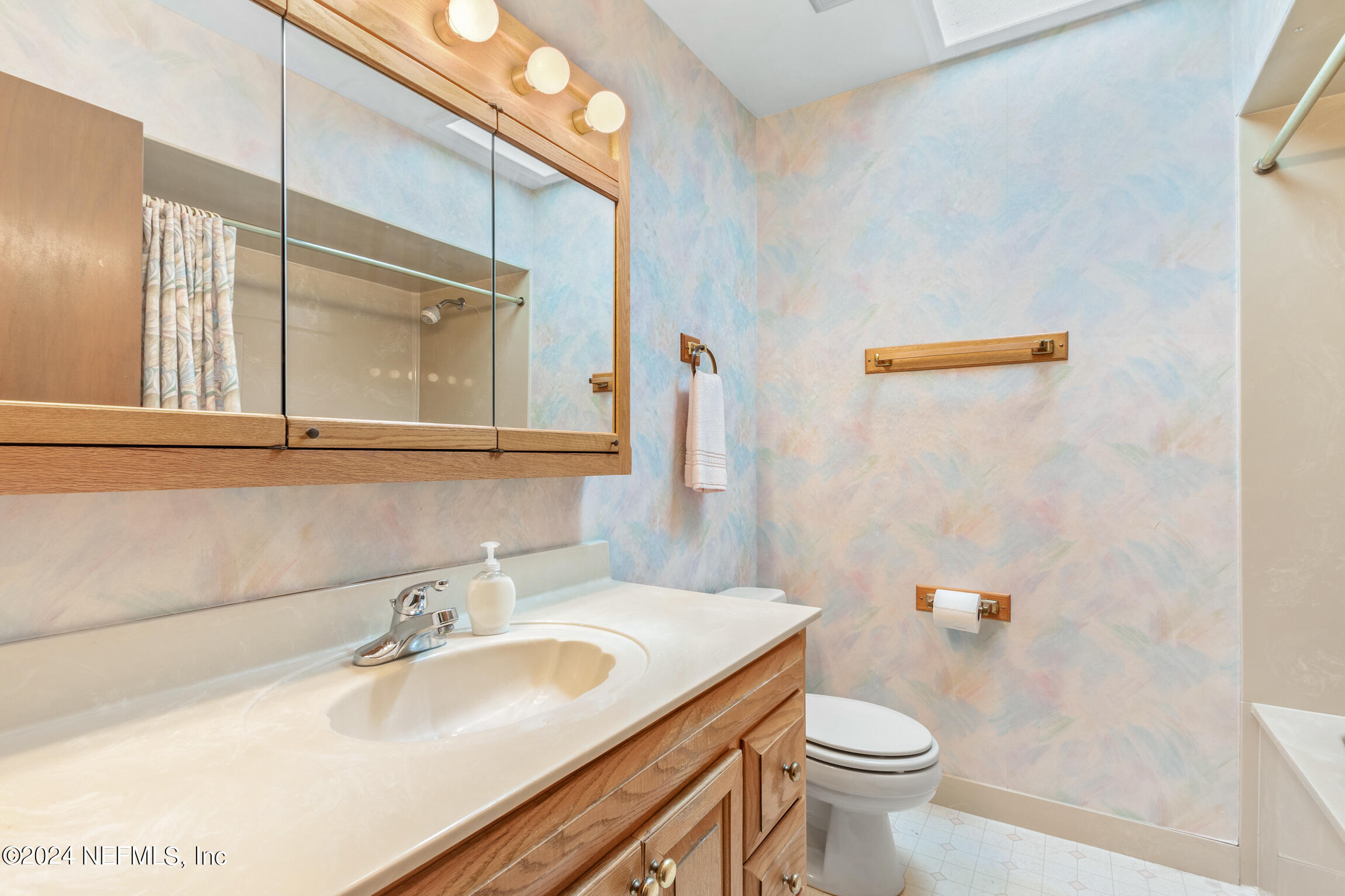 3153 Tiger Hole Road Jacksonville, FL 32216 - Photo 27 of 68 a bathroom with a sink toilet and mirror