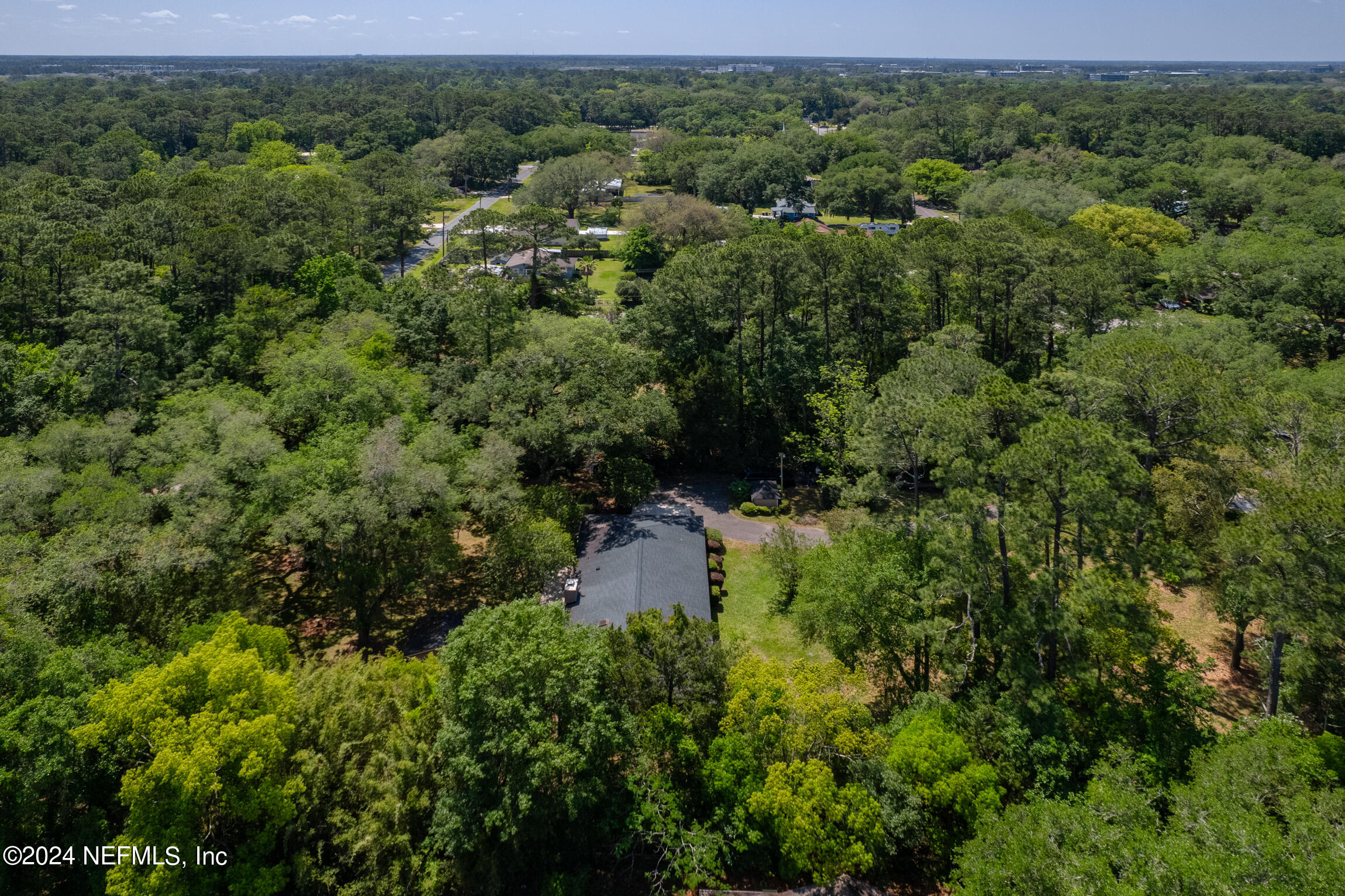 3153 Tiger Hole Road Jacksonville, FL 32216 - Photo 67 of 68 a view of a forest with a houses