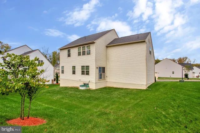 a view of a backyard with plants and a large tree