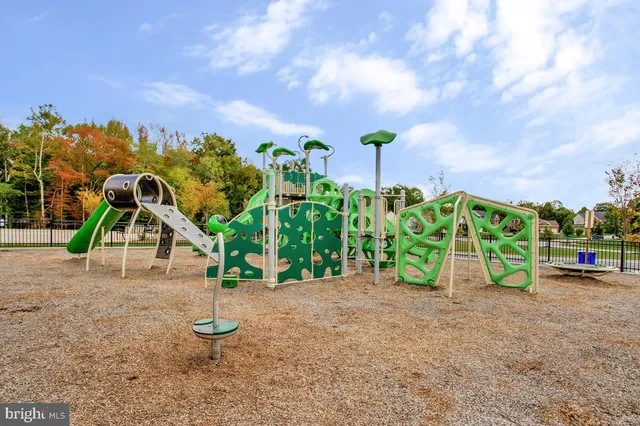 a view of a bunch of flowers