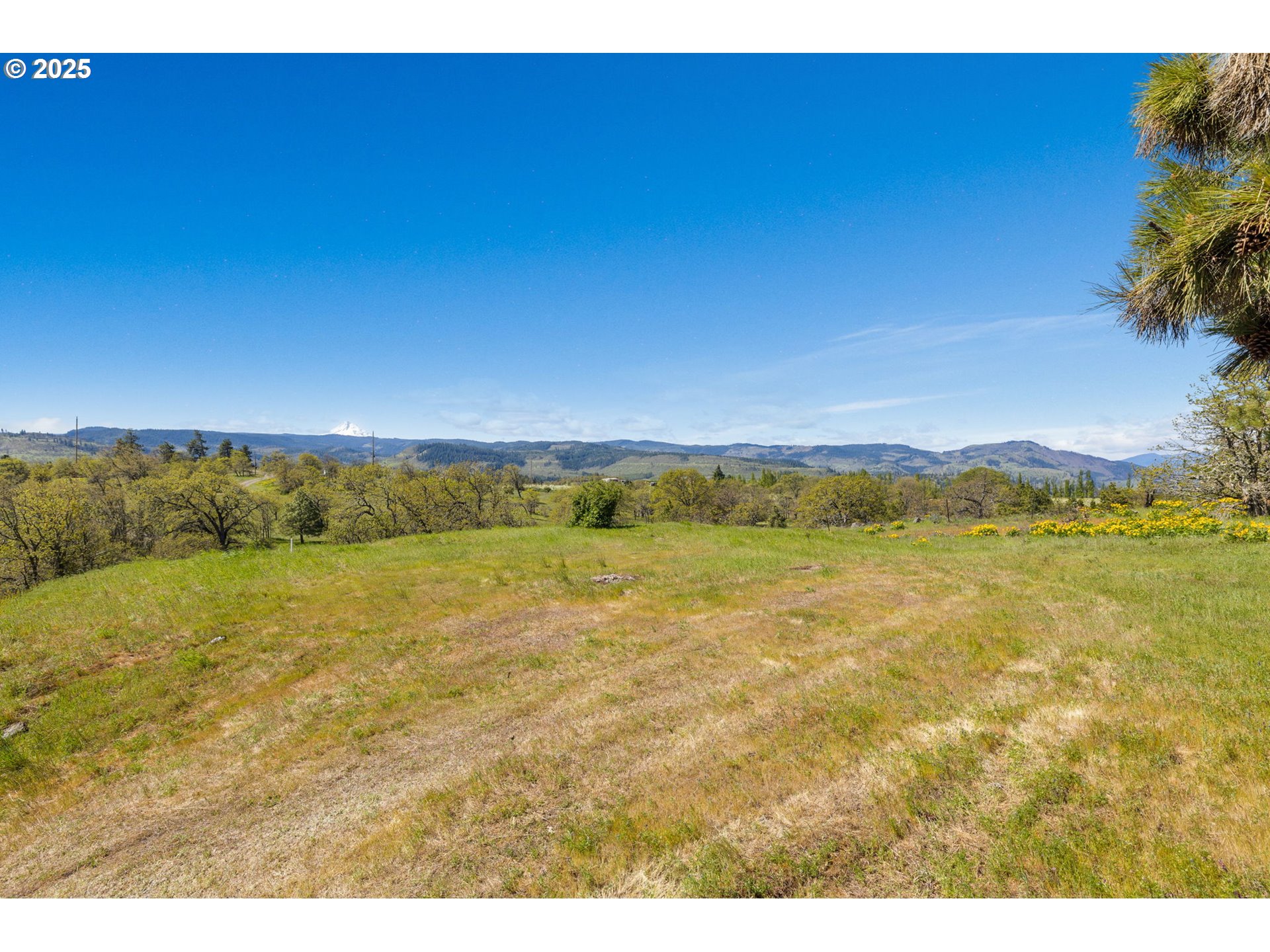 1075 Morgensen Road Mosier, OR 97040 - Photo 12 of 25 Gallery Image 12