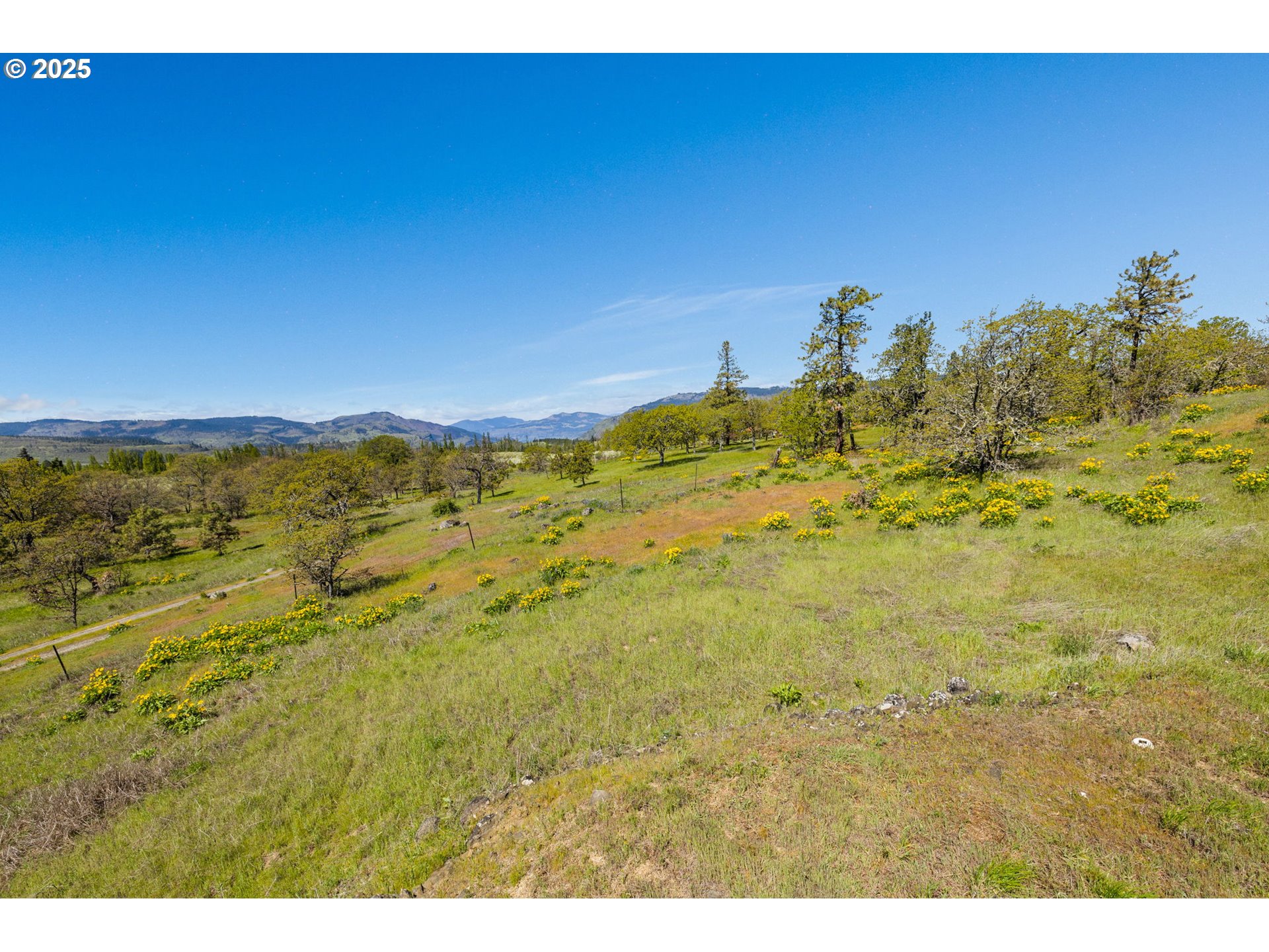1075 Morgensen Road Mosier, OR 97040 - Photo 13 of 25 Gallery Image 13