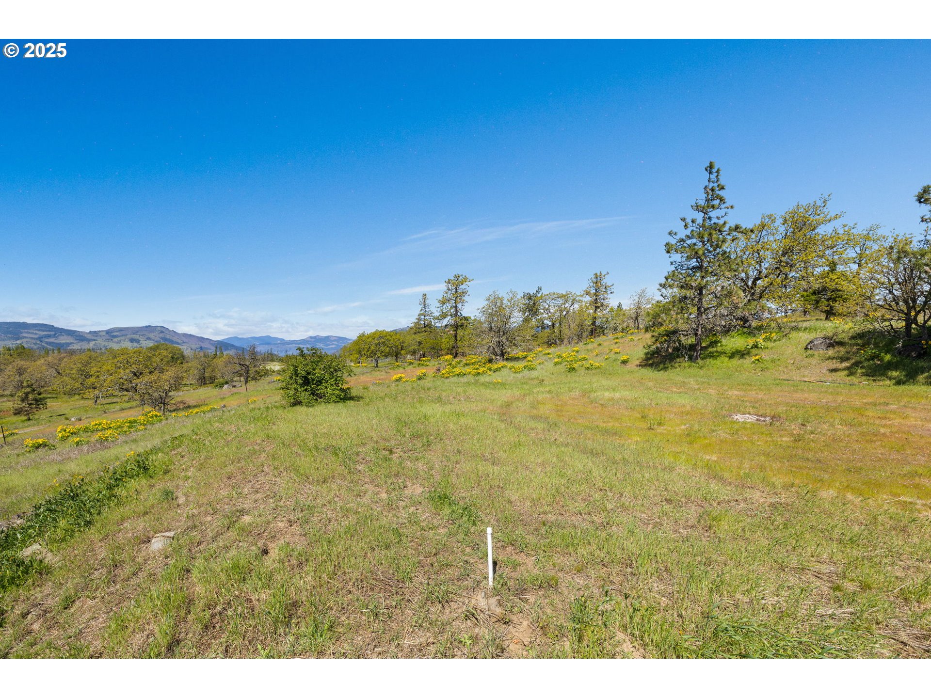 1075 Morgensen Road Mosier, OR 97040 - Photo 21 of 25 Gallery Image 21