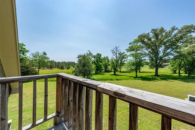 a view of trees and a yard with large trees