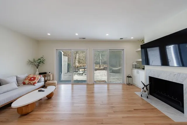 a living room with furniture a fireplace and a potted plant