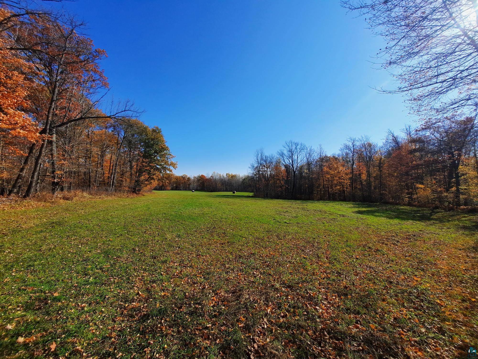 20 County Road 20 Hibbing, MN 55746 - Photo 2 of 7 View of yard