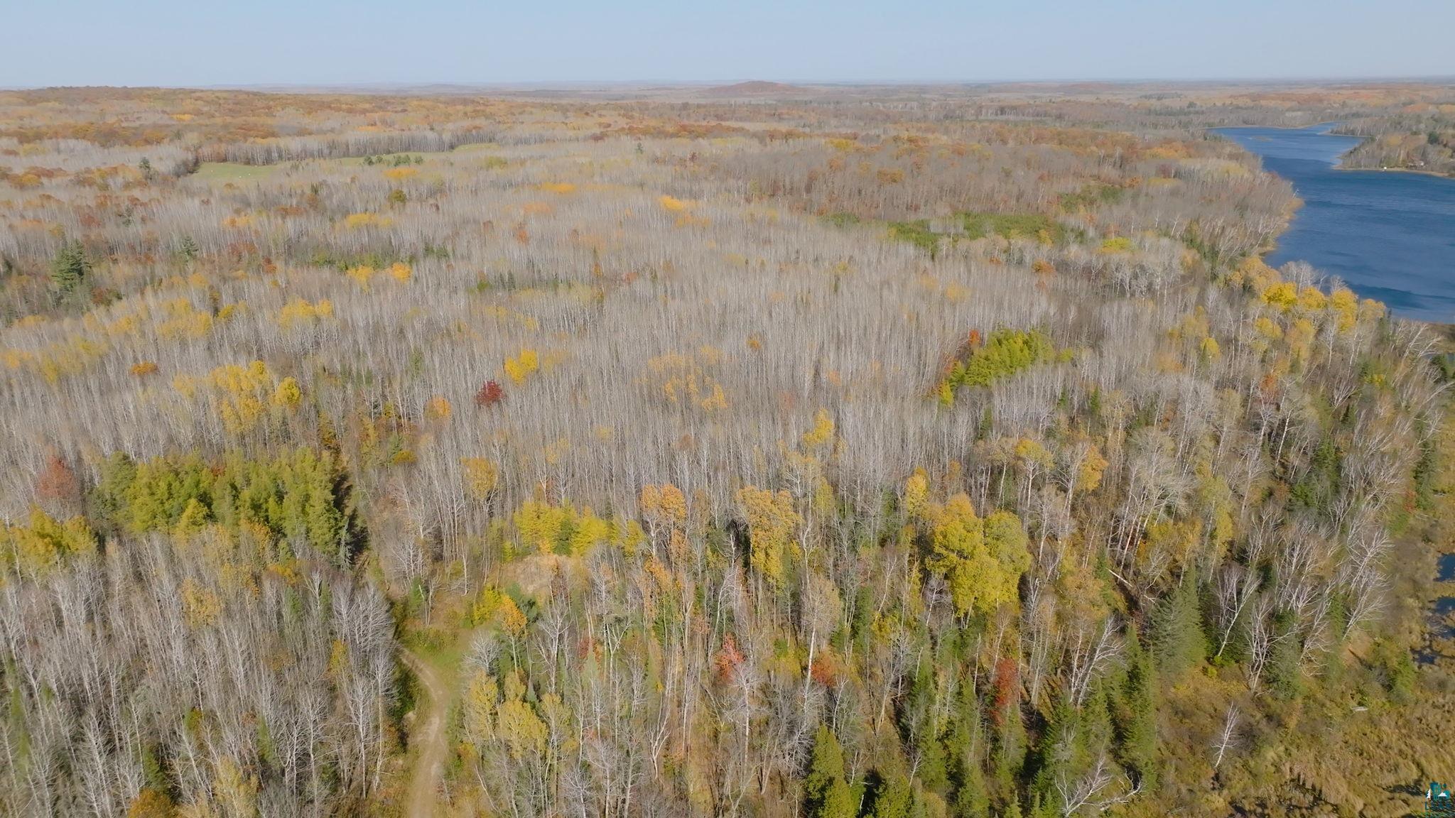 20 County Road 20 Hibbing, MN 55746 - Photo 6 of 7 Bird's eye view with a water view
