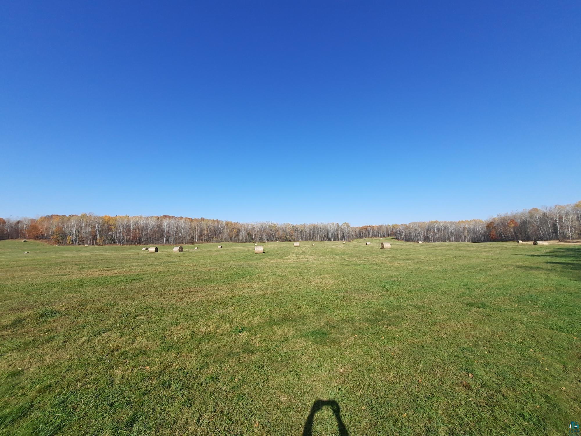 20 County Road 20 Hibbing, MN 55746 - Photo 7 of 7 View of yard featuring a rural view