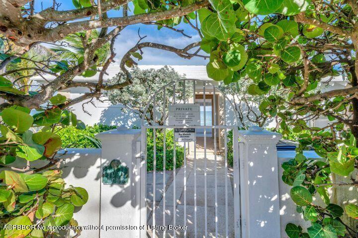 256 Mockingbird Trail Palm Beach, FL 33480 - Photo 13 of 31 a picture of a tree