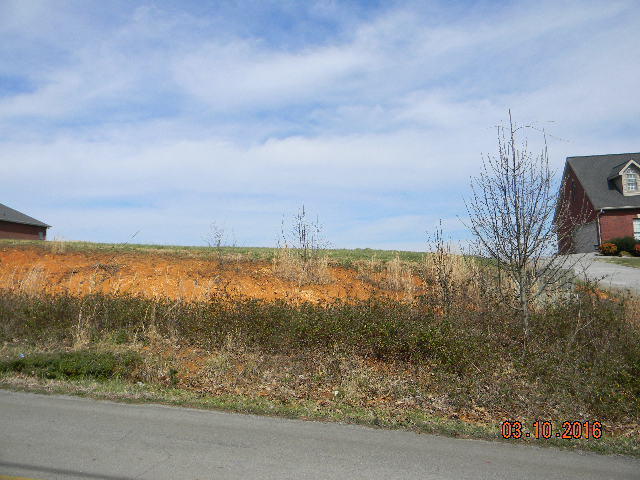 3248 Sam James Road Maryville, TN 37803 - Photo 4 of 4 Sam James 4