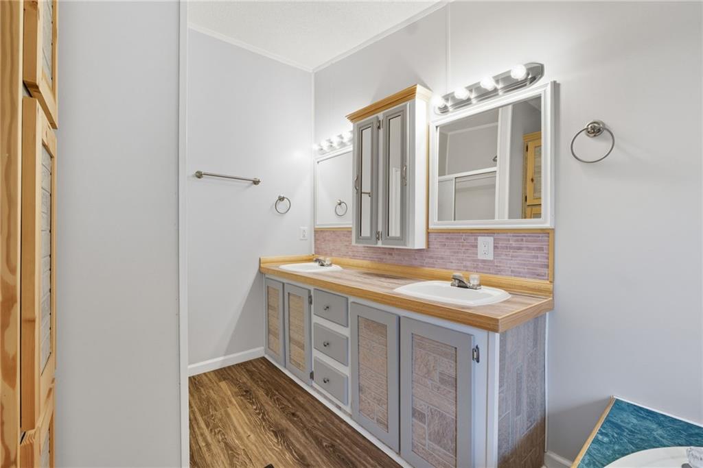 294 Old Ball Ground Road Canton, GA 30115 - Photo 30 of 40 a bathroom with a sink and a mirror