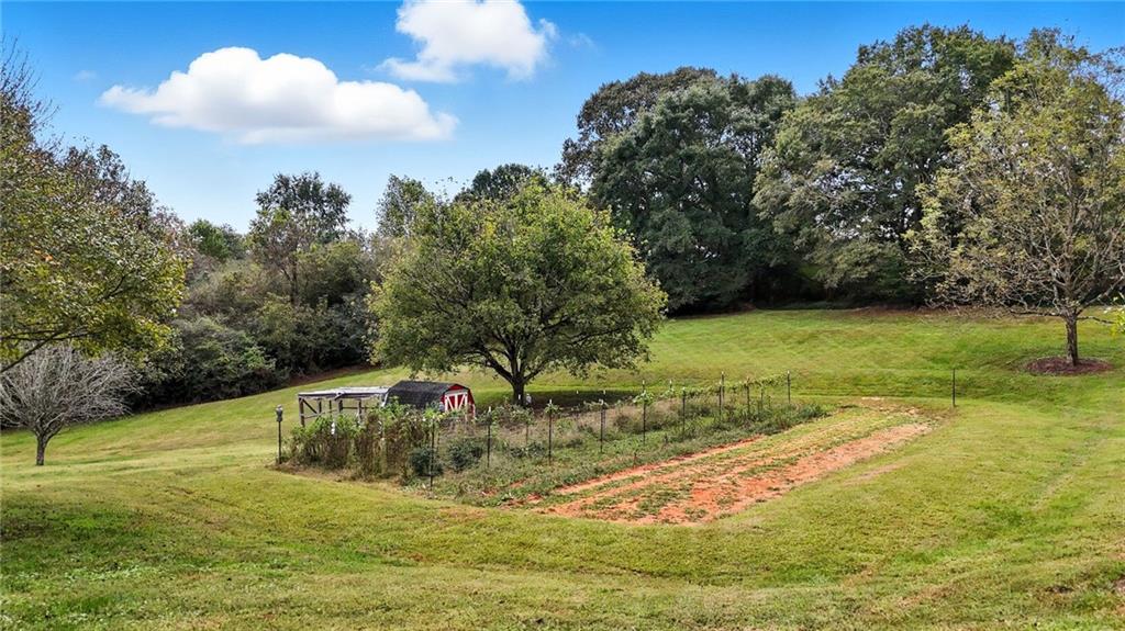 294 Old Ball Ground Road Canton, GA 30115 - Photo 4 of 40 a view of a yard with an trees