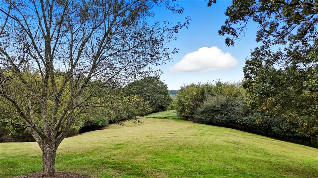 294 Old Ball Ground Road Canton, GA 30115 - Photo 8 of 40 a view of a yard with an trees
