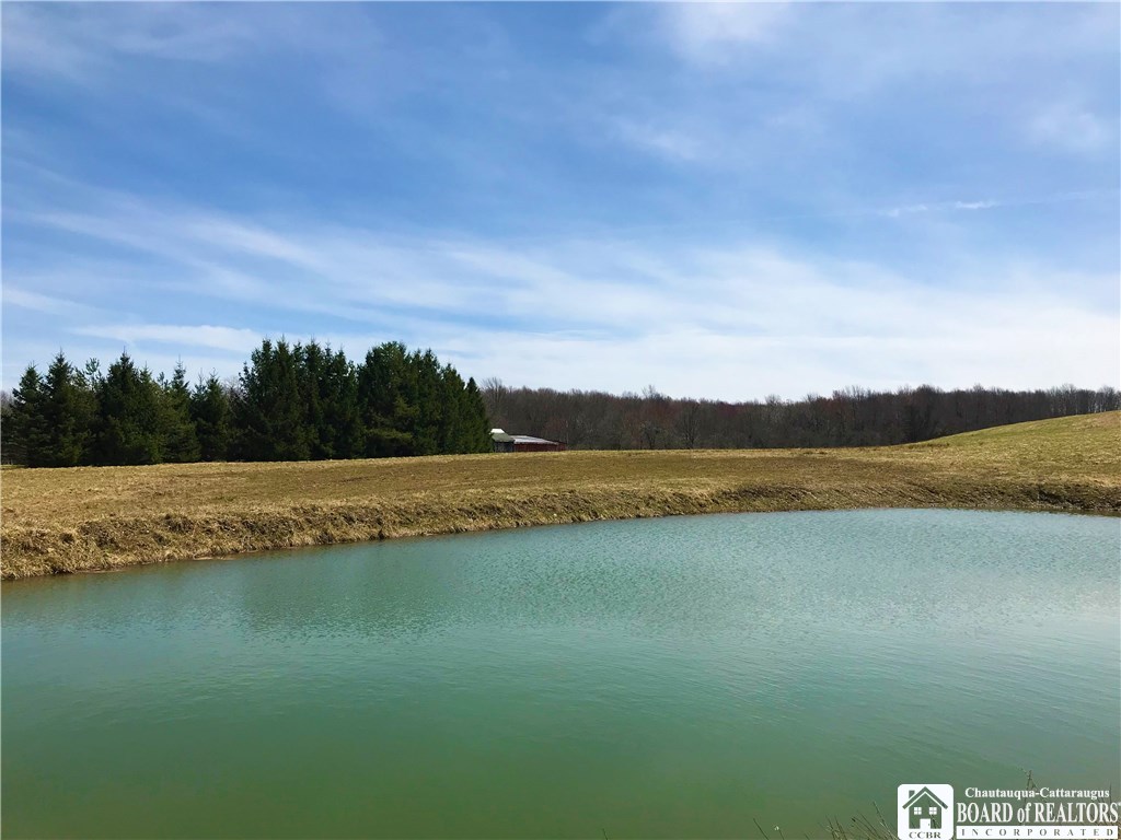 5457 Barber Road Stockton, NY 14784 - Photo 1 of 1 Stocked pond on 100 acres - about 2/3 wooded, rest