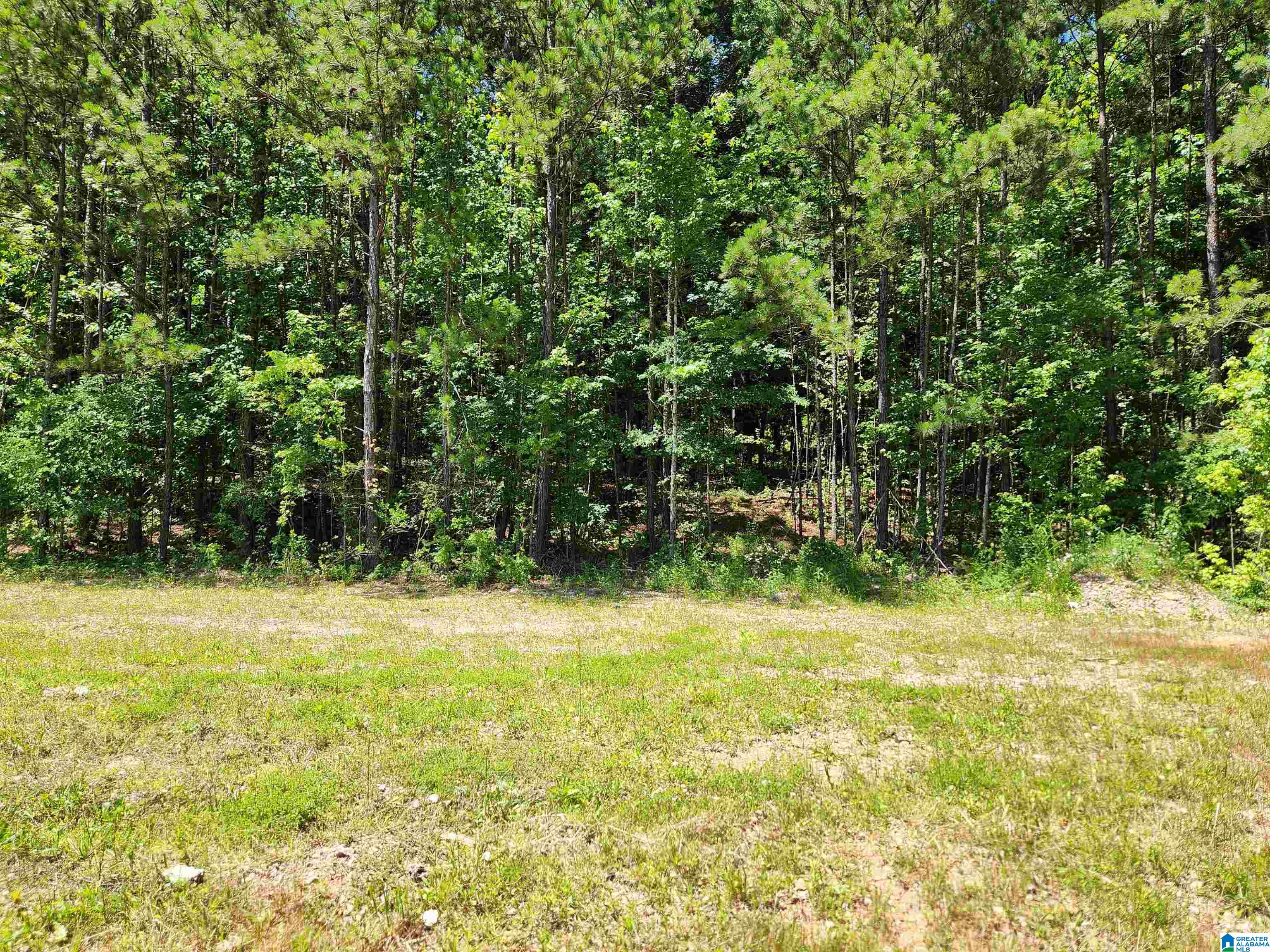 920 Shipley Road, Unit 3 Anniston, AL 36205 - Photo 5 of 9