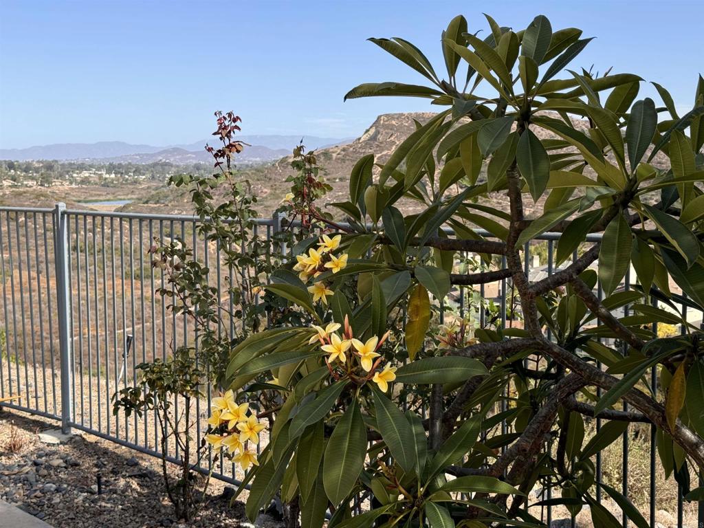 4142 Karst Road Carlsbad, CA 92010 - Photo 29 of 31 a view of a flower