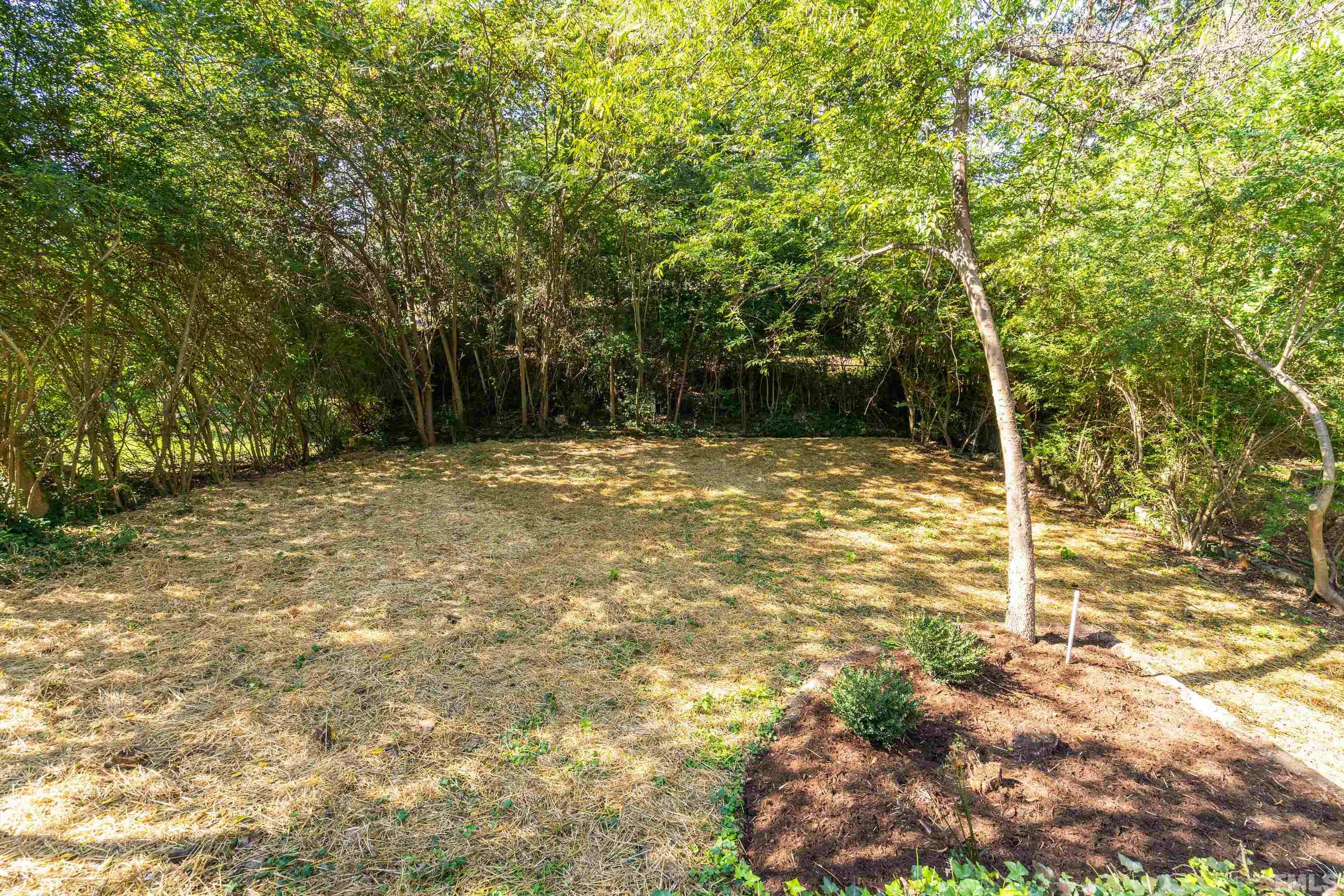202 Myers Avenue Raleigh, NC 27604 - Photo 25 of 26 a backyard of a house with lots of green space