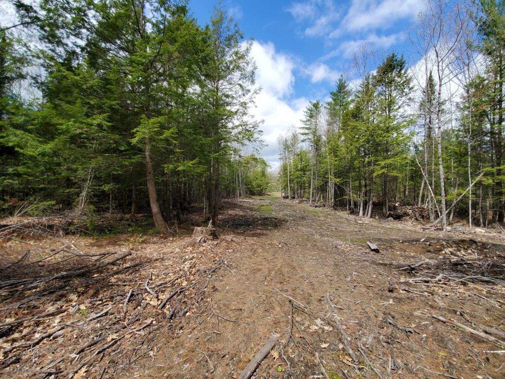 M4-l61 Intervale Road New Sharon, ME 04955 - Photo 16 of 21 20190521_110128Spring