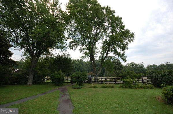 5320 Turkey Run Road Warrenton, VA 20187 - Photo 9 of 16 a view of a park with large trees