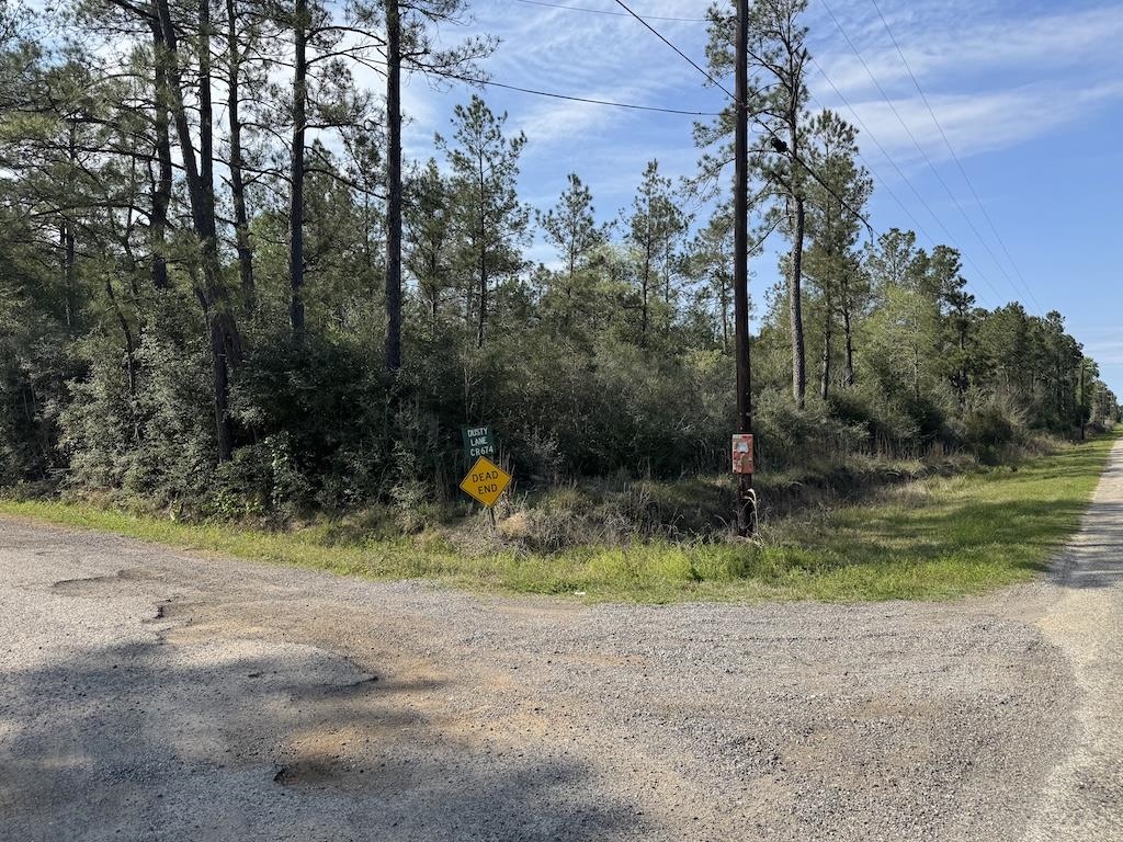 Five 5 Acre Tract Road Buna, TX 77612 - Photo 1 of 13