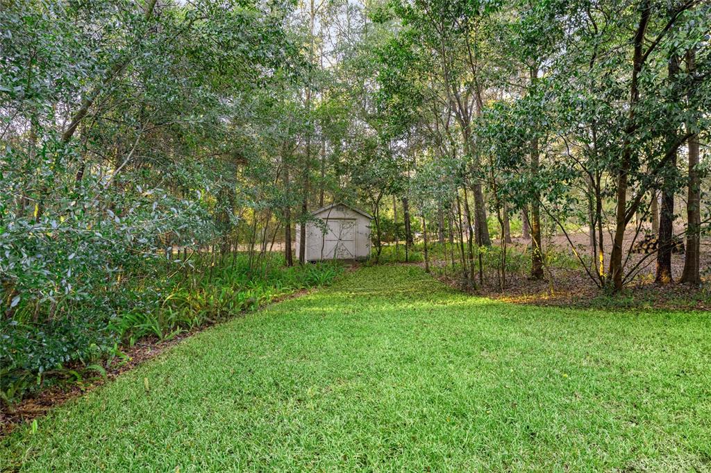 20698 Southwest 93rd Lane Road Dunnellon, FL 34431 - Photo 31 of 34 a backyard of a house with lots of green space